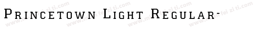 Princetown Light Regular字体转换